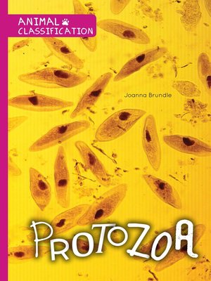 cover image of Protozoa